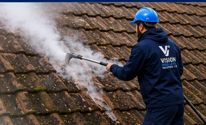 Roof steam cleaning & soft washing shown in the Vision brochure